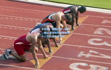 中彩网：绿茵幻梦一瞬燃，那记重炮如何点燃尘封十二年的世界杯狂想