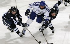 中国体彩网|林高远开启职业生涯新篇章，不退役、淡出国乒、征战欧冠与多元赛场